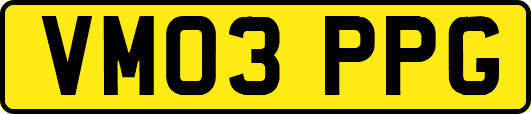 VM03PPG