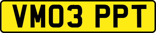 VM03PPT