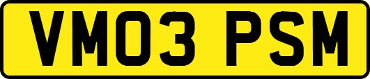VM03PSM