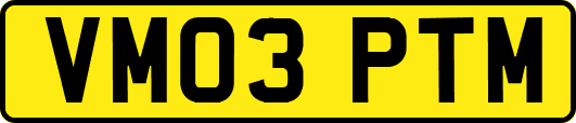 VM03PTM