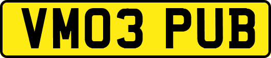 VM03PUB