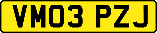 VM03PZJ