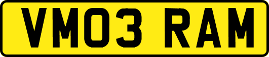VM03RAM
