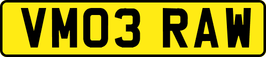 VM03RAW