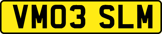 VM03SLM