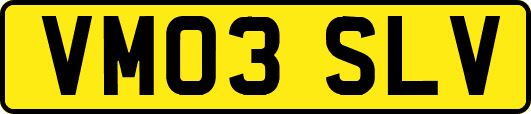 VM03SLV