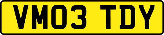 VM03TDY