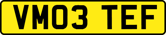 VM03TEF