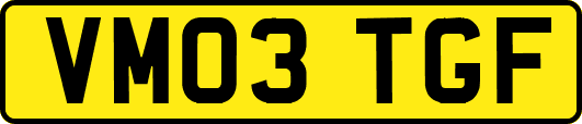 VM03TGF