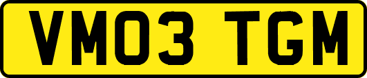 VM03TGM