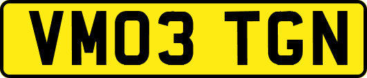 VM03TGN