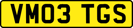 VM03TGS