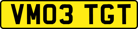 VM03TGT