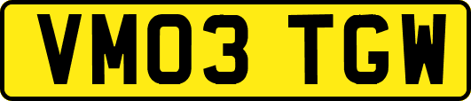 VM03TGW