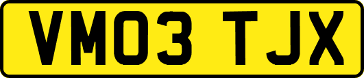 VM03TJX