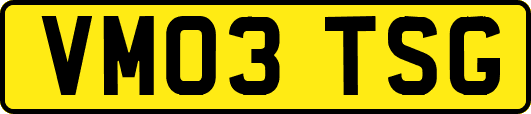 VM03TSG