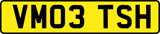 VM03TSH