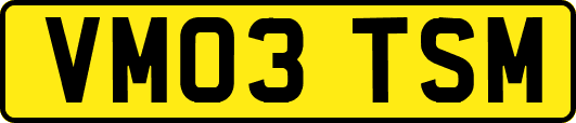 VM03TSM