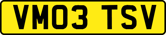 VM03TSV