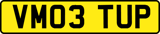 VM03TUP