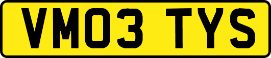 VM03TYS