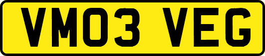 VM03VEG