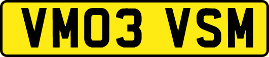 VM03VSM