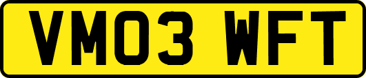 VM03WFT