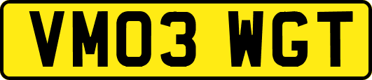 VM03WGT