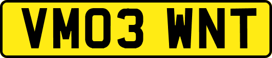 VM03WNT