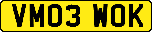 VM03WOK