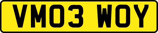 VM03WOY