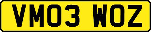 VM03WOZ