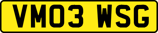 VM03WSG