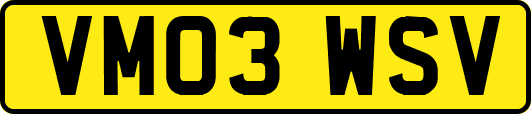 VM03WSV