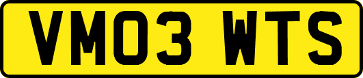 VM03WTS