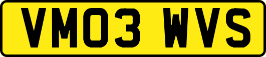 VM03WVS