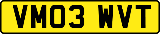 VM03WVT