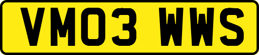 VM03WWS