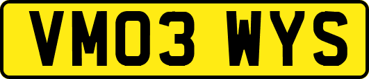 VM03WYS