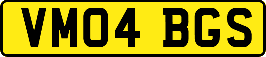 VM04BGS