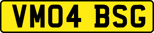 VM04BSG