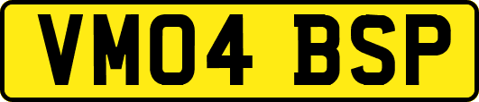 VM04BSP