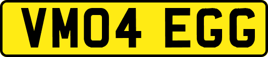 VM04EGG