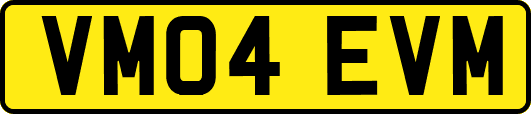 VM04EVM