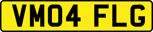 VM04FLG