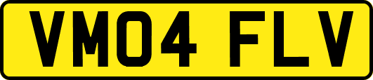 VM04FLV