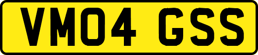 VM04GSS