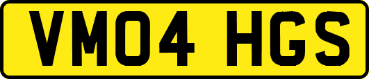 VM04HGS