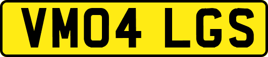 VM04LGS